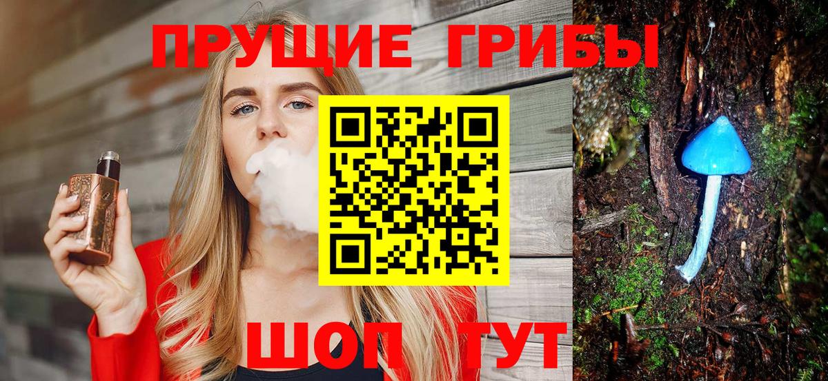Псилоцибиновые грибы Psilocybine cubensis Лабытнанги