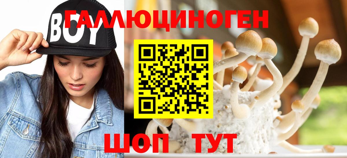 Псилоцибиновые грибы MAGIC MUSHROOMS  Вход с VPN  Лабытнанги 